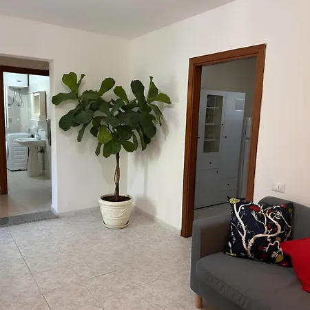 Casa Gioia -appartamento Con Veranda Vicino Marinella Апартаменти Ольбія