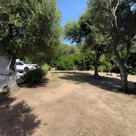 Casa Gioia -appartamento Con Veranda Vicino Marinella